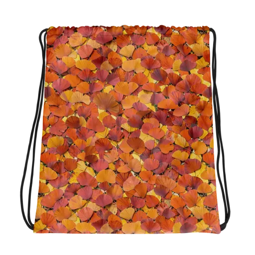 Drawstring Bag