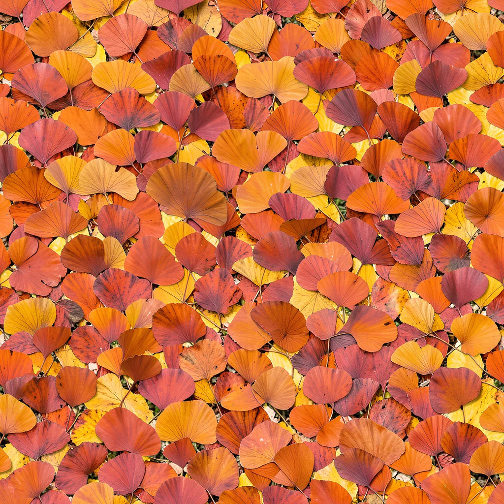 The Autumn Ginkgo pattern